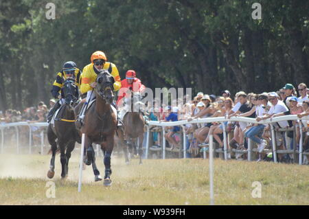 August. 11. 2019 Hippodrom ein Sault (im Süden von Frankreich, das einzige Pferderennen im Jahr). Stockfoto