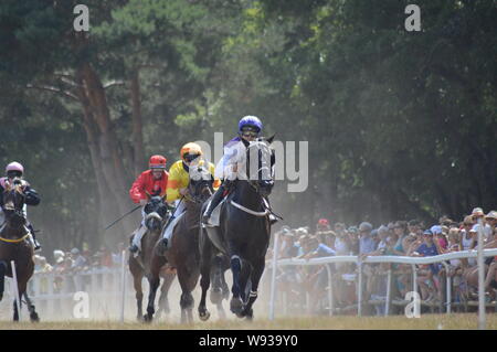 August. 11. 2019 Hippodrom ein Sault (im Süden von Frankreich, das einzige Pferderennen im Jahr). Stockfoto