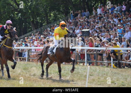 August. 11. 2019 Hippodrom ein Sault (im Süden von Frankreich, das einzige Pferderennen im Jahr). Stockfoto