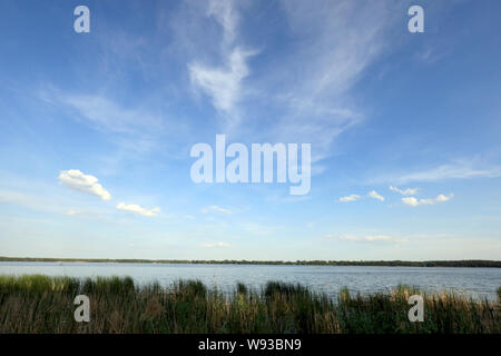 Magdeburg, Deutschland. Juni, 2019 18. Blick über den Arendsee in der Altmark. Credit: Peter Gercke/dpa-Zentralbild/dpa/Alamy leben Nachrichten Stockfoto