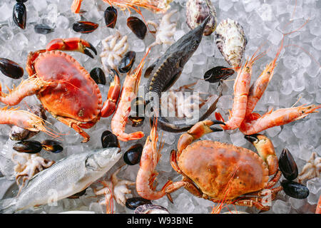 Meeresfrüchte auf Eis. Krabben, Stör, Muscheln, Garnelen, Rapana, Dorado, auf weissem Eis. Stockfoto