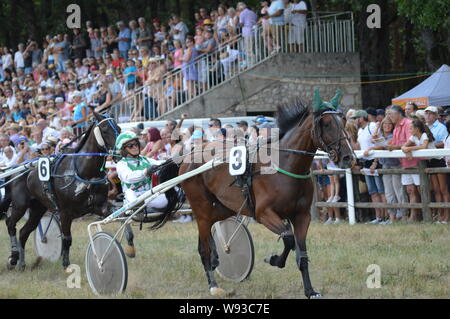 August. 11. 2019 Hippodrom ein Sault (im Süden von Frankreich, das einzige Pferderennen im Jahr). Stockfoto