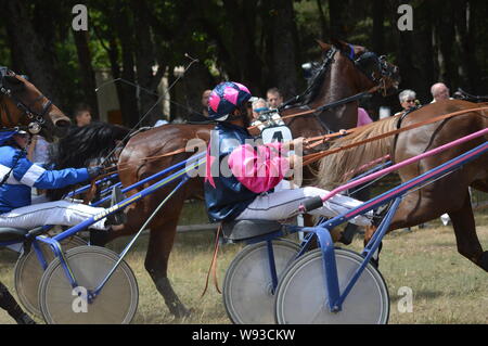 August. 11. 2019 Hippodrom ein Sault (im Süden von Frankreich, das einzige Pferderennen im Jahr). Stockfoto