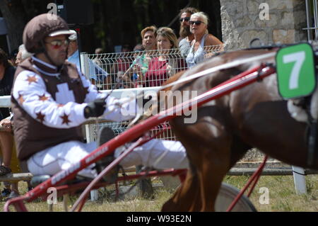 August. 11. 2019 Hippodrom ein Sault (im Süden von Frankreich, das einzige Pferderennen im Jahr). Stockfoto