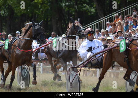 August. 11. 2019 Hippodrom ein Sault (im Süden von Frankreich, das einzige Pferderennen im Jahr). Stockfoto