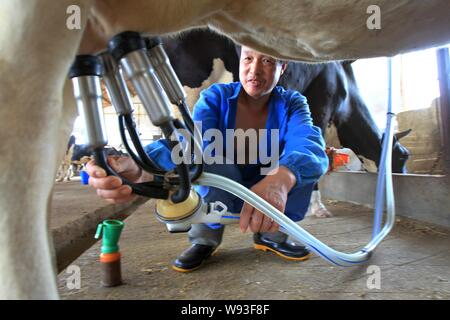 ---- Ein chinesischer Arbeiter Milch einer Kuh an eine Kuh Bauernhof in Nantong City, East China Jiangsu Provinz, vom 8. Juli 2010. Chinese State-Konglomerate sind Eigentum Stockfoto