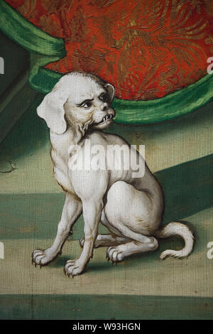 Wütend weißen Hund im Detail Der altarbild "die Kindheit und Passion Christi' von 1480 der deutschen Renaissance Maler Martin Schongauer aus der Dominikanischen Kirche datiert in Colmar dargestellt, nun im Unterlinden Museum (Musée Unterlinden in Colmar, Elsass, Frankreich. Stockfoto