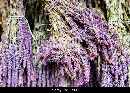 In der Nähe der Trauben von Salbei Salvia officinalis Kraut oder trocknen Stockfoto