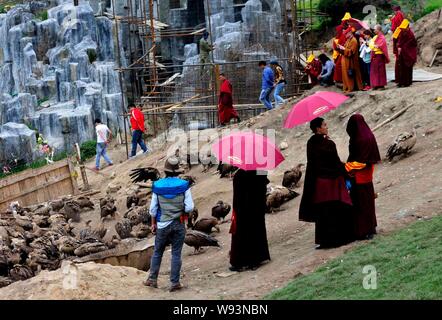 Lokale Lamas und Touristen Blick auf eine Herde von Geier nach einem Himmel Beerdigung in Sertar County, Ganzi tibetischen autonomen Präfektur, Southwest China Sichua Stockfoto