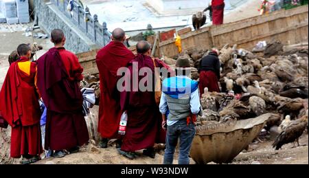 Lokale Lamas und Touristen Blick auf eine Herde von Geier nach einem Himmel Beerdigung in Sertar County, Ganzi tibetischen autonomen Präfektur, Southwest China Sichua Stockfoto