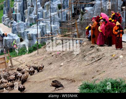 Lokale Lamas und Touristen Blick auf eine Herde von Geier nach einem Himmel Beerdigung in Sertar County, Ganzi tibetischen autonomen Präfektur, Southwest China Sichua Stockfoto