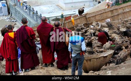 Lokale Lamas und Touristen Blick auf eine Herde von Geier nach einem Himmel Beerdigung in Sertar County, Ganzi tibetischen autonomen Präfektur, Southwest China Sichua Stockfoto