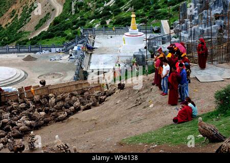 Lokale Lamas und Touristen Blick auf eine Herde von Geier nach einem Himmel Beerdigung in Sertar County, Ganzi tibetischen autonomen Präfektur, Southwest China Sichua Stockfoto