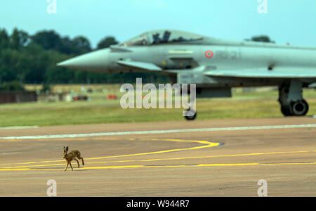 Eurofighter, F-2000 Typhoon im Royal International Air Tattoo 2019 Stockfoto