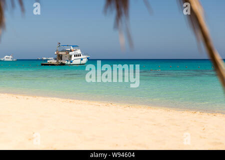 Blick vom Strand von mahmya Insel mit Palme und Boot Stockfoto