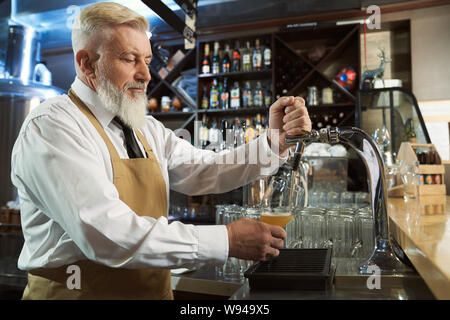 Ansicht von der Seite der ruhige Mann mit Schürze im Prozess der gießen Licht Bier im Glas von Bier. Männliche Brauer an der Fertigung im Werk und im Pub. Konzept der ALE-Produktion. Stockfoto
