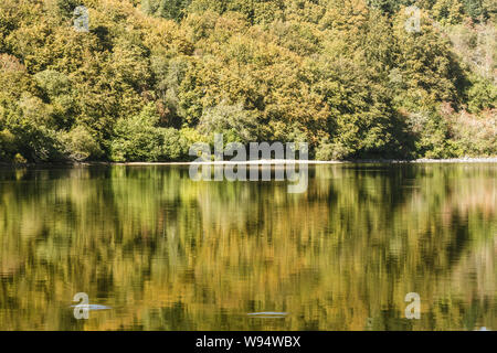 Herbst Farbe in Lac de Guery, Auvergne, Frankreich. Stockfoto