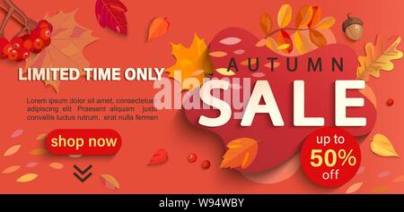Herbst Sale Banner mit Platz für Text, der nur begrenzte Zeit Rabatte. Herbstlaub, Vogelbeeren, Eicheln für saisonale shopping Förderung, Web, Flyer. Stock Vektor