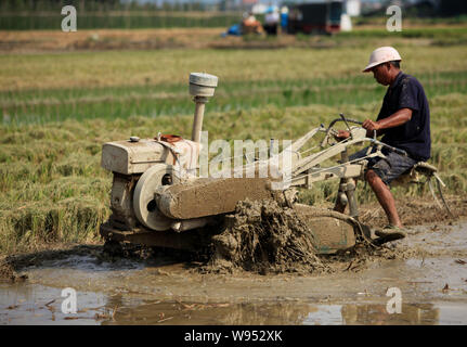 ---- Ein chinesischer Bauer fährt ein Traktor sein Feld vor dem Einpflanzen Reispflänzchen in Daxiang Dorf Pflug, ChangAn town, RongAn County, Liuzhou ci Stockfoto