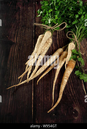 Bund Petersilie Wurzeln mit grünen Blättern auf dunklen Holz- Board. Stockfoto