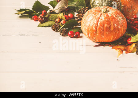 Herbst Komposition. Herbst Blätter, Beeren und Kürbis auf einem weißen Hintergrund, kopieren. Stockfoto