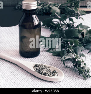 Wertvolle Heilpflanze - motherwort mit Blumen und Blätter auf einem weißen Hintergrund. Als nächstes kommt die Pflanze in getrockneten und zerkleinerten Form für die Vorbereitung Stockfoto