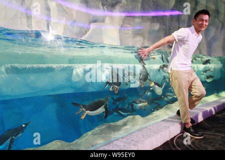 Hong Kong Sänger und Schauspieler Andy Lau stellt während einer Charity-aktion in Hong Kong Ocean Park in Hongkong, China, 12. Juli 2012. Stockfoto