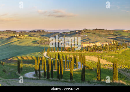 Toskanische Bauernhäuser in der Val d'Orcia, Italien. Stockfoto