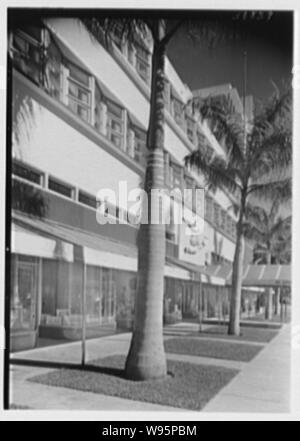 Albion Hotel, Lincoln Road, Miami Beach, Florida. Stockfoto