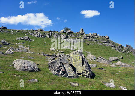 Findlinge. Norber. Austwick, Yorkshire Dales National Park, Craven, North Yorkshire, England, Vereinigtes Königreich, Europa. Stockfoto