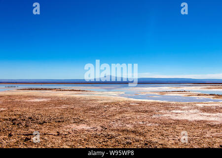 Chaxa See (Laguna Chaxa) mit Reflexion der Umgebung und blauer Himmel im Salar von Atacama, Chile Stockfoto