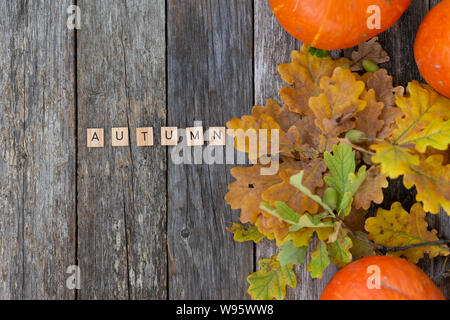 Herbst noch leben. Herbst eiche Blätter und Kürbisse und Wort Herbst aus Holz Buchstaben auf alten grauen Holz- Board. Ansicht von oben, Vintage Style. Flach Stockfoto