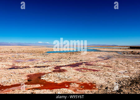 Chaxa See (Laguna Chaxa) mit Reflexion der Umgebung und blauer Himmel im Salar von Atacama, Chile Stockfoto