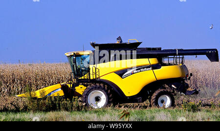 Allen, Kansas, USA, 26. September 2014. Landwirt setzt ein New Holland CR960 Mähdrescher seinem Maisfeld zu ernten. Stockfoto