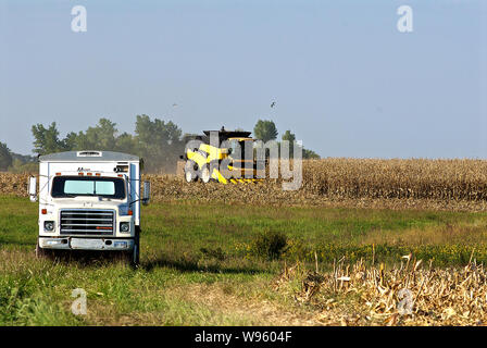 Allen, Kansas, USA, 26. September 2014. Landwirt setzt ein New Holland CR960 Mähdrescher seinem Maisfeld zu ernten. Stockfoto