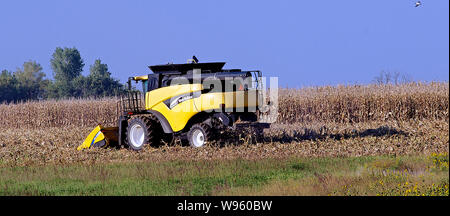 Allen, Kansas, USA, 26. September 2014. Landwirt setzt ein New Holland CR960 Mähdrescher seinem Maisfeld zu ernten. Stockfoto