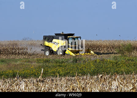 Allen, Kansas, USA, 26. September 2014. Landwirt setzt ein New Holland CR960 Mähdrescher seinem Maisfeld zu ernten. Stockfoto