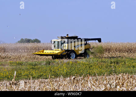 Allen, Kansas, USA, 26. September 2014. Landwirt setzt ein New Holland CR960 Mähdrescher seinem Maisfeld zu ernten. Stockfoto