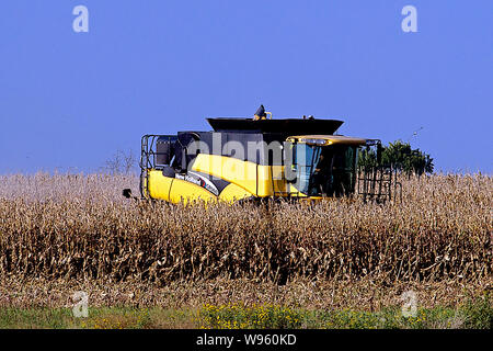 Allen, Kansas, USA, 26. September 2014. Landwirt setzt ein New Holland CR960 Mähdrescher seinem Maisfeld zu ernten. Stockfoto