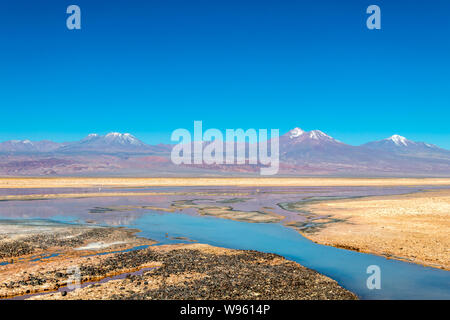 Chaxa See (Laguna Chaxa) mit Reflexion der Umgebung und blauer Himmel im Salar von Atacama, Chile Stockfoto