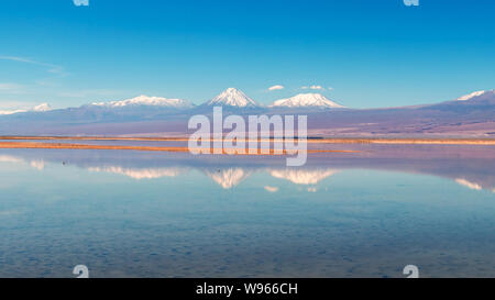 Chaxa See (Laguna Chaxa) mit Reflexion der Umgebung und blauer Himmel im Salar von Atacama, Chile Stockfoto