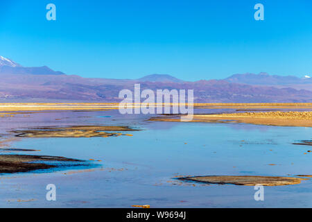 Chaxa See (Laguna Chaxa) mit Reflexion der Umgebung und blauer Himmel im Salar von Atacama, Chile Stockfoto