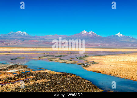 Chaxa See (Laguna Chaxa) mit Reflexion der Umgebung und blauer Himmel im Salar von Atacama, Chile Stockfoto