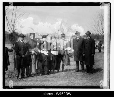 Standort. Forstwirtschaft Armee baumpflanzung am Walter Reed, 4/16/20 Stockfoto