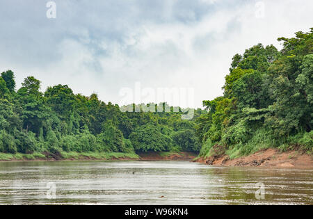 Periyar Fluss, Dr. Salim Ali Bird Sanctuary, Ernakulum Thattekad, Bezirk, Western Ghats, Kerala, Indien Stockfoto