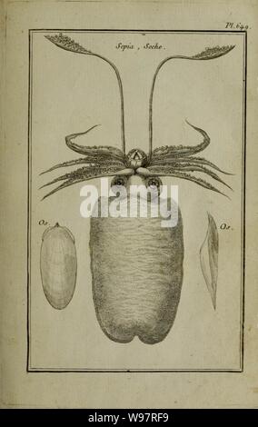 Beschreibung, vertus et usages de sept Cent dix-neuf Plantes (Platte 649) (11453365923). Stockfoto