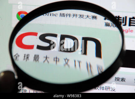 Ein netizen durchsucht die Website von Chinesisch online IT-Vernetzung Website CSDN in Binzhou City, East China Provinz Shandong, 23. Dezember 2011. Chinesisch Stockfoto