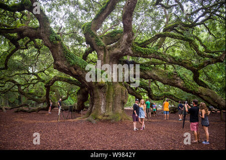 JOHNS ISLAND, SC, USA - August 3, 2019: Besucher Posieren vor der Engel Eiche, geschätzt, fast 500 Jahre alt. Stockfoto