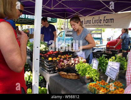 Farmers Market, Madison, WI USA. Aug 2018. Anbieter tendenziell ihre Tomaten und andere Gemüse stehen. Stockfoto