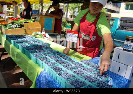 Farmers Market, Madison, WI USA. Aug 2018. Junge Dame Anbieter arrangieren ihre blueberrires angezeigt. Stockfoto